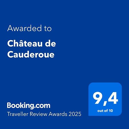 Chateau De Cauderoue Nérac Exterior foto
